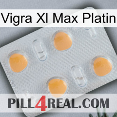 Vigra Xl Max Platinum 24